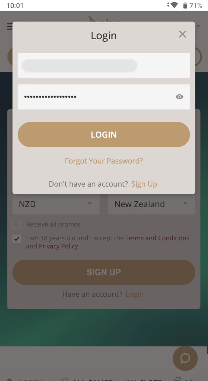 Verify your email at Boho Casino mobile to start playing casino games on iOS.